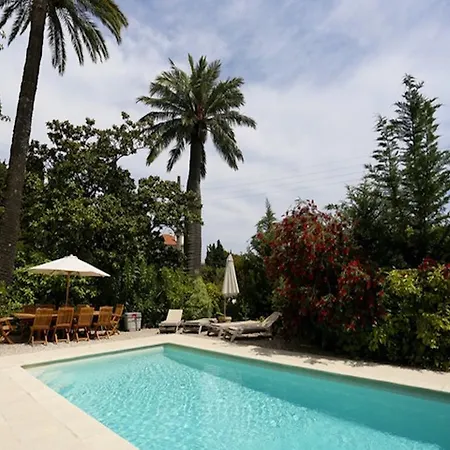 Les Roses Blanches * Cannes
